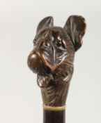 A 19TH CENTURY, POSSIBLY BLACK FOREST, CARVED WOOD DOG'S HEAD WALKING CANE with open mouth flap. 3ft