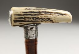 A VICTORIAN WALKING STICK with antler handle and silver collar. 2ft 10ins long.