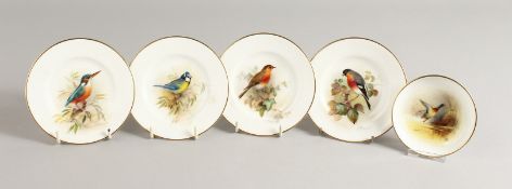 FOUR ROYAL WORCESTER PLATES, painted with named birds by Wm. Powell, signed W. Powell and a pin tray