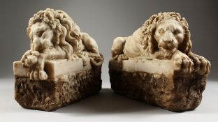 A PAIR OF CAST RECONSTITUTED MARBLE LIONS on rustic bases. 11ins long.