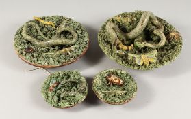 FOUR PORTUGUESE MAJOLICA ENCRUSTED DISHES, 9ins, 8ins, 4.5ins and 4ins diameter, with snakes, moths,