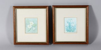 JULIA HOCKIN, a small pair of framed pictures, snowdrops and primroses.