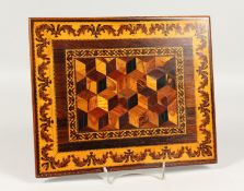 A TUNBRIDGE PARQUETRY PANEL. 9.5ins x 11ins.
