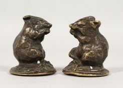 A SMALL PAIR OF BRONZE RATS. 2ins high.