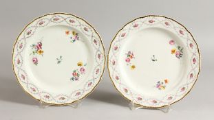 A PAIR OF 18TH CENTURY CHELSEA DERBY PLATES painted with flowers under a leafy chain border, crown D