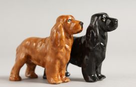 A ROYAL WORCESTER FIGURE OF AN ENGLISH SPRINGER SPANIEL, and a black model of a Cocker Spaniel, date