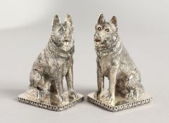 A PAIR OF .925 SILVER PLATE ALSATIAN SALT AND PEPPERS. 3ins high.