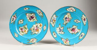 A GOOD PAIR OF 19TH CENTURY SEVRES BLUE GROUND PORCELAIN PLATES with vignettes of flowers. Sevres