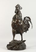 GEORGES LUCIEN VACOSSIN (1870-1942) FRENCH A SUPERB LARGE BRONZE CROWING COCKEREL, standing on a