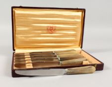 A SET OF SIX CASED FRENCH STAINLESS STEEL TABLE KNIVES with horn handles. 23cm long each