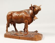 A SUPERB BLACK FOREST CARVED WOOD STANDING COW, with bell around its neck, standing on a rustic