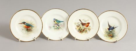 FOUR ROYAL WORCESTER PLATES, painted with named birds by Wm. Powell, signed W. Powell.