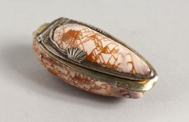 A GEORGIAN SILVER MOUNTED SHELL SNUFF BOX.