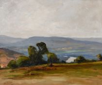 Marin Genoud (1893-1966) French, An extensive Valley landscape with distant hills, oil on board,