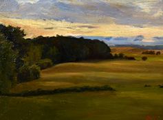 20th century school, An extensive tree lined landscape at dusk, oil on board, signed with initials