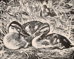 An Auction of Fine Paintings