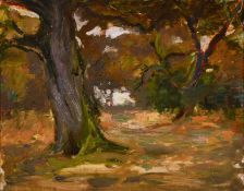 20th century school, A study of a tree, oil on board, 8
