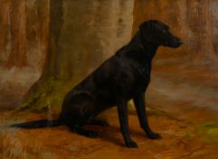 Frances Mabel Hollams (1877-1963) British, portrait of a seated Labrador in the woods, oil on panel,