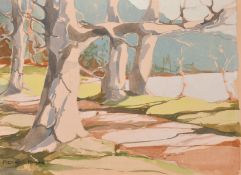 Mary Deneale Morgan (1868-1941) American, Trees by the Californian coast, watercolour on pen & ink