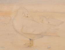 K. Mackie (20th Century), A study of white ducks preening their feathers, watercolour, 10