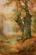 T. Taylor Ireland (1894-1921) British, A stream meandering through a woodland landscape,