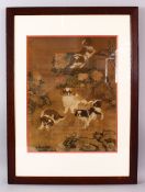 A FRAMED CHINESE PICTURE OF PEKING DOGS, cdepicting four dogs playing in a landscape, framed 51cm