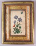 A 19TH CENTURY INDIAN MINIATURE PAINTING of flowers and a butterfly, with calligraphy borders, image