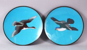 A PAIR OF JAPANESE MEIJI PERIOD CLOISONNE DUCK PLATES / CHARGERS, each with a view of a bird /