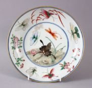 A GOOD CHINESE FAMILLE ROSE PORCELAIN BUTTERFLY DISH, decorated with a central roundel depicting