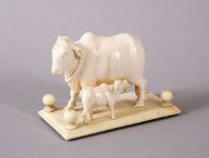 A 19TH CENTURY INDIAN CARVED IVORY FIGURE OF A NANDI COW AND CALF on stand, 7cm long.