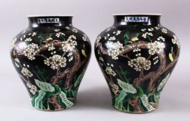 A PAIR OF 19TH CENTURY CHINESE FAMILLE NOIR GINGER JARS, decorated upon a black ground with birds