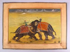 A GOOD INDIAN MUGHAL SCHOOL MINIATURE PAINTING OF TWO ELEPHANTS - the two elephants ridden by two