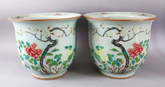 A GOOD PAIR OF 19TH CENTURY CHINESE FAMILLE ROSE PORCELAIN JARDINIERE'S, each with a display of