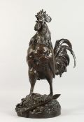 GEORGES LUCIEN VACOSSIN (1870-1942) FRENCH A SUPERB LARGE BRONZE CROWING COCKEREL, standing on a