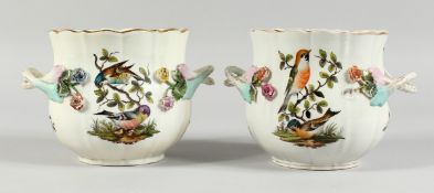 A GOOD PAIR OF DRESDEN TWO HANDLED CACHE POTS 4.5 ins diameter, encrusted with flowers and painted