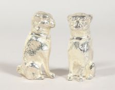 A PAIR OF CAST PLATE DOG SALT AND PEPPERS 2.25 ins high