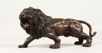 A BRONZE SNARLING LION 12 ins long.