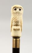 A CARVED BONE OWL HANDLED WALKING STICK