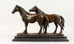 A LARGE BRONZE GROUP OF TWO HORSES on a marble base 16 ins long