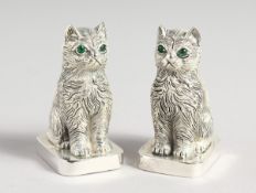 A PAIR OF 925 CAT SALT AND PEPPERS