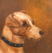 Circle of J. A. Wheeler (1821-1903) British, A head study of a Jack Russell, oil on board, 8.5