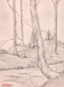 Attributed to Stanislas Lepine (1835-1892) French, A study of trees along a riverside, pencil with