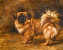 20th century, A study of a dog, oil on panel, indistinctly signed, 8