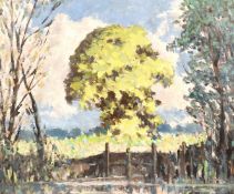 Hugh Boycott Brown (1909-1990) British, A scene of trees by a river on a summer day, oil on board,
