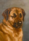 M. Curry, circa 1903, A head study of a dog, oil on canvas, signed and dated, in a bird's eye