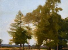 Mid-20th century school, A study of trees in a landscape, oil on panel, 10.5