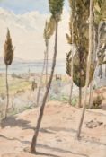 Follower of Edward Lear, A landscape of a Cyprian town on the horizon with trees in the