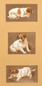 Late 19th century British, Three studies of a puppy in various poses, watercolour, initialed 'C.