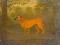 19th/20th century school, A study of a terrier, oil on canvas, 12.5