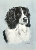 Rex Hood, A study of a spaniel, print, signed and dated '1969', 12.75